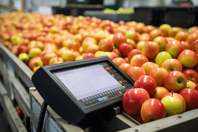 Плюсы автоматизации торговли сельскохозяйственной продукции